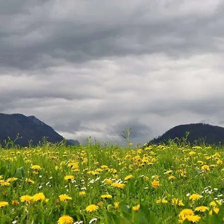 Greenheart Aussee Obersdorf