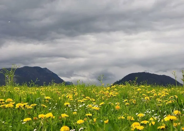 Greenheart Aussee Obersdorf