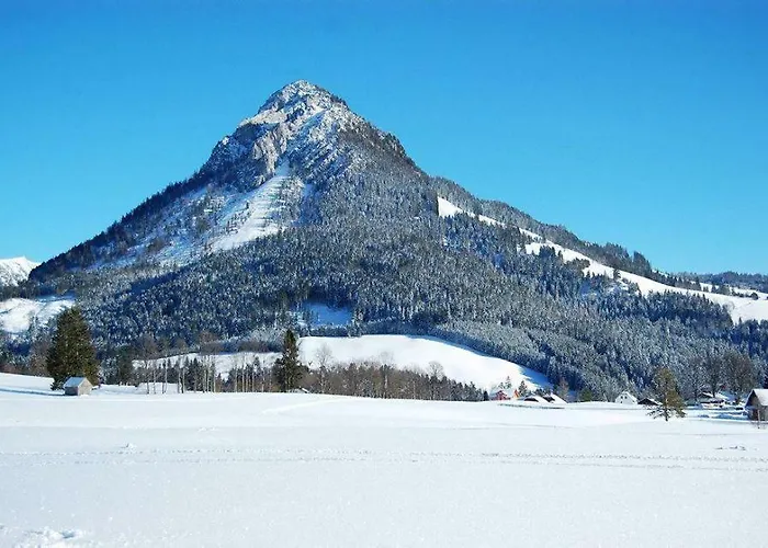 Greenheart Aussee Apartment *